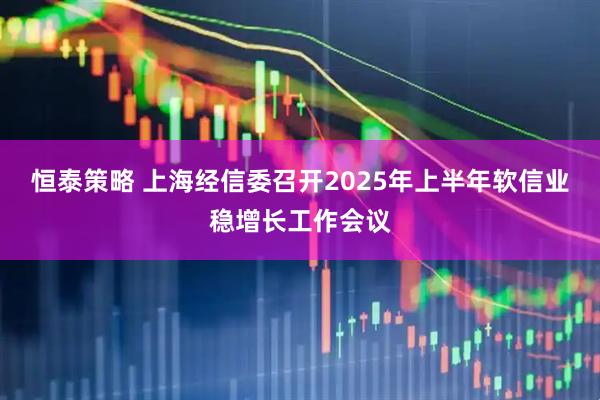 恒泰策略 上海经信委召开2025年上半年软信业稳增长工作会议